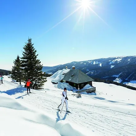 Dretenpacherhof * Trattenbach (Lower Austria)