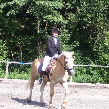 Dretenpacherhof * Trattenbach (Lower Austria)
